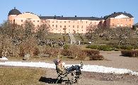 Vrknning i Botaniska Trädgården, Uppsala slott i bakgrunden.