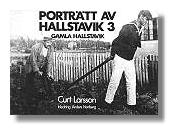'Portrtt av Hallstavik 3' Gamla Hallstavik (1976)
